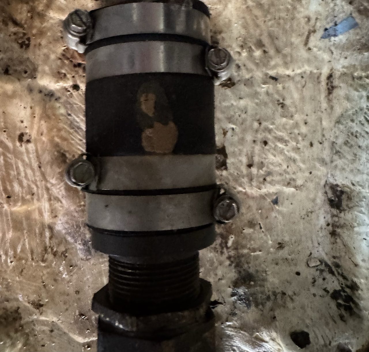 Not a bellows: hose, four clamps and a threaded bronze gland with its packing nut. Thirty-three years old and entirely ordinary, which is the best thing it could have been.