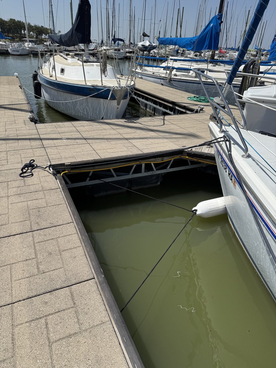 A yellow shore-power cord clipped along the frame of a floating finger dock, with sailboats moored either side