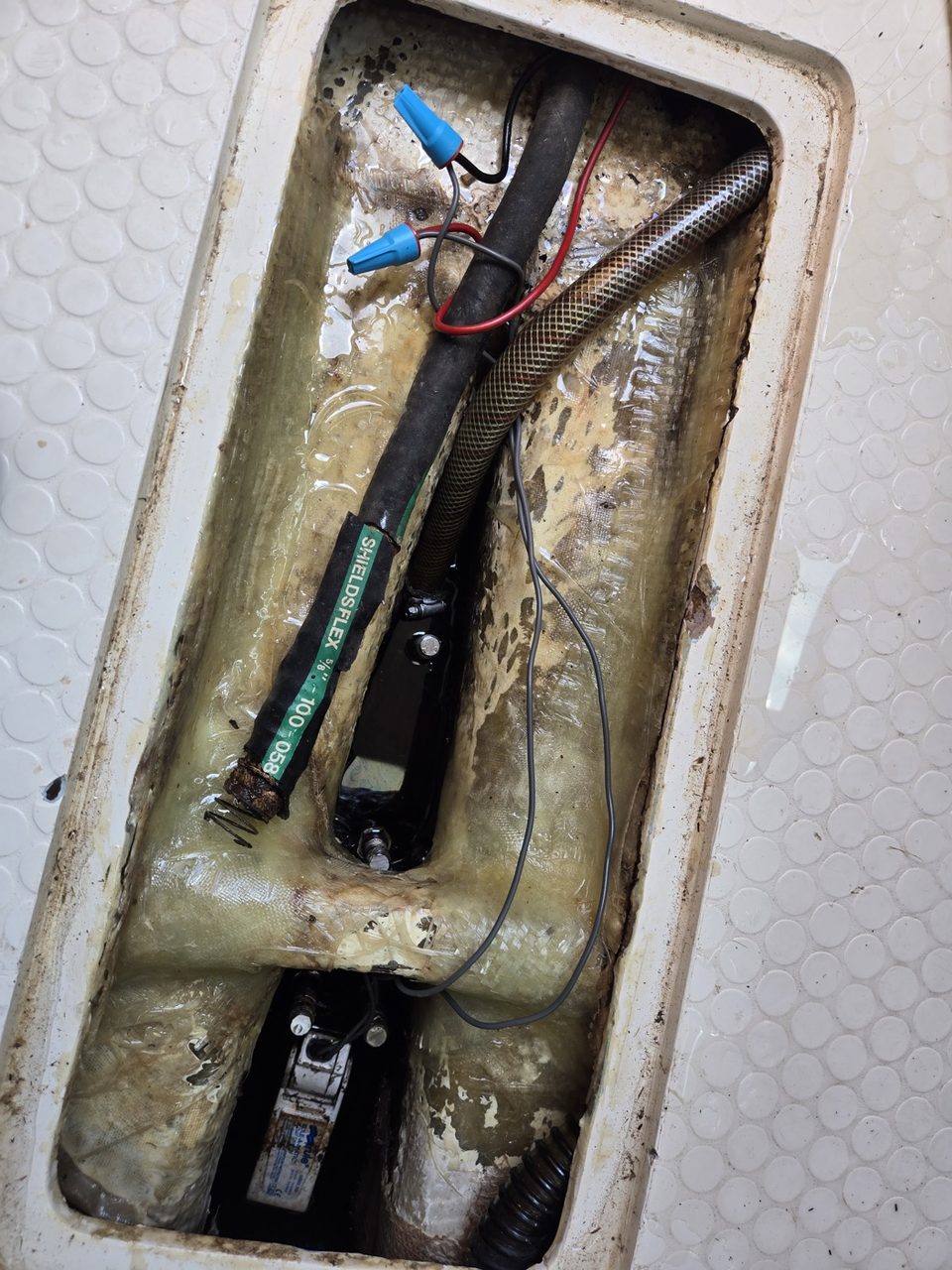 Standing water, hoses and household wire nuts in the bilge